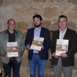 Serafin Olcoz, Raimundo Aguirre y Alfonso Rincón